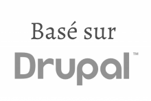 Logo Drupal gris